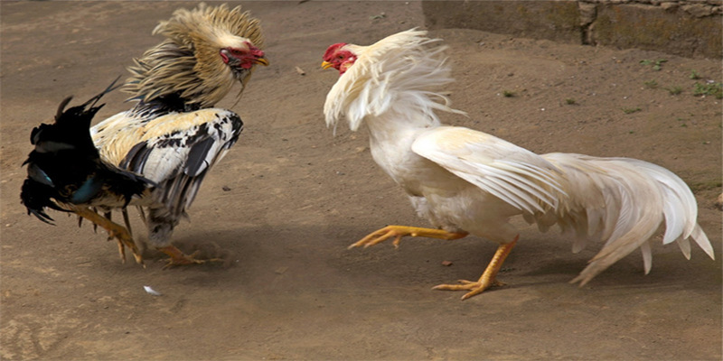 Lợi ích khi có kinh nghiệm đặt cược