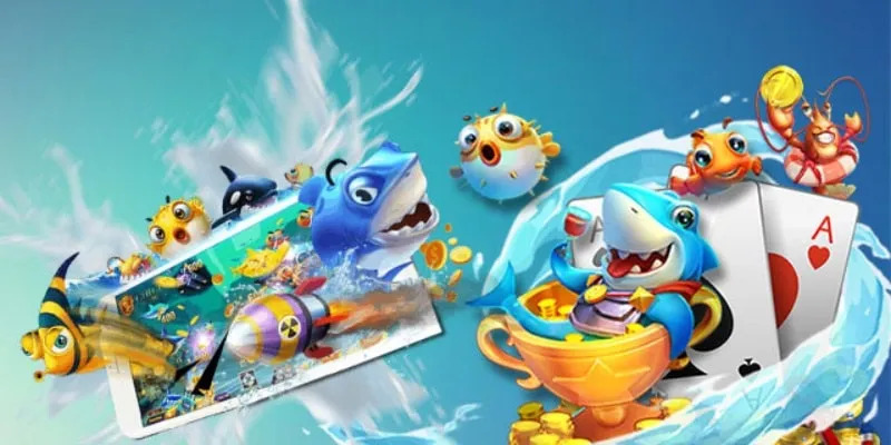 Lỗi không tìm hiểu kỹ
