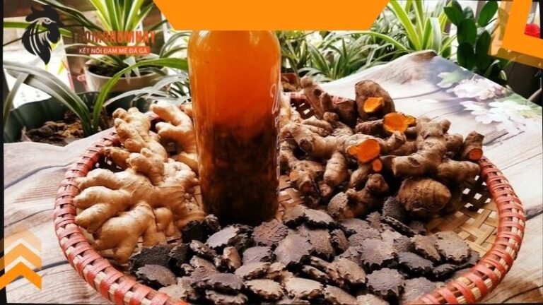 Một số loại thuốc bổ xung cho chiến kê định kỳ