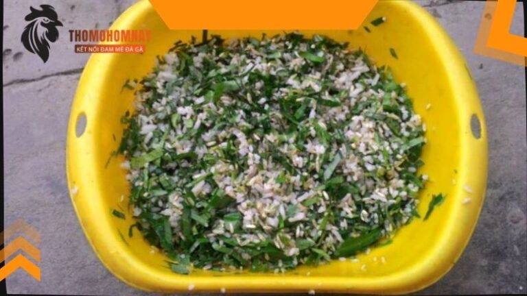 Cho chiến kê ăn các nguyên liệu chứa chất xơ và rau xanh