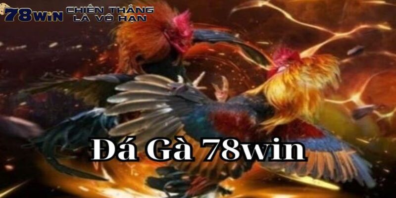 Quan trọng là hãy luôn chơi có trách nhiệm và biết cách quản lý vốn hợp lý.