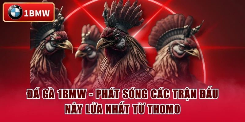 Những ưu điểm vượt trội của sảnh game Đá Gà 1BMW