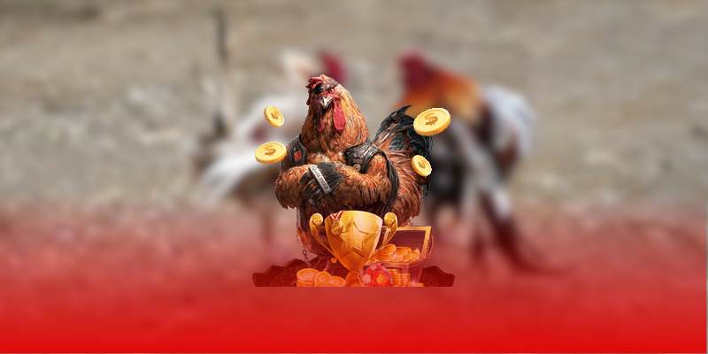 Tìm hiểu về đá gà tre