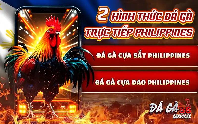 2 hình thức đá gà trực tiếp Philippines