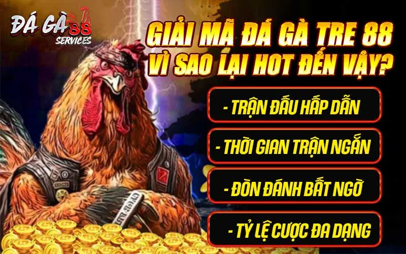 Giải mã đá gà tre 88