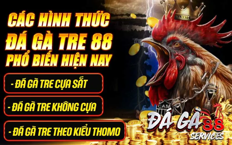 Các hình thức đá gà tre 88 phổ biến