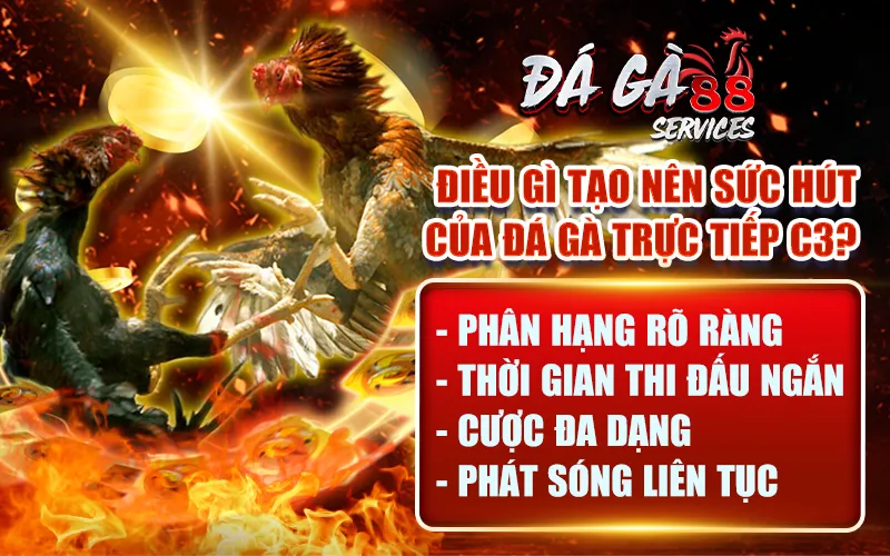 Sức hút của đá gà trực tiếp C3