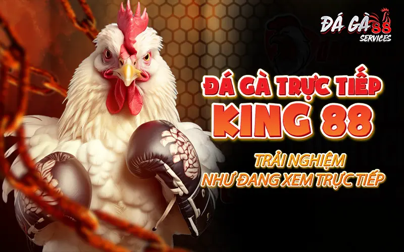 Trực Tiếp Đá Gà King 88